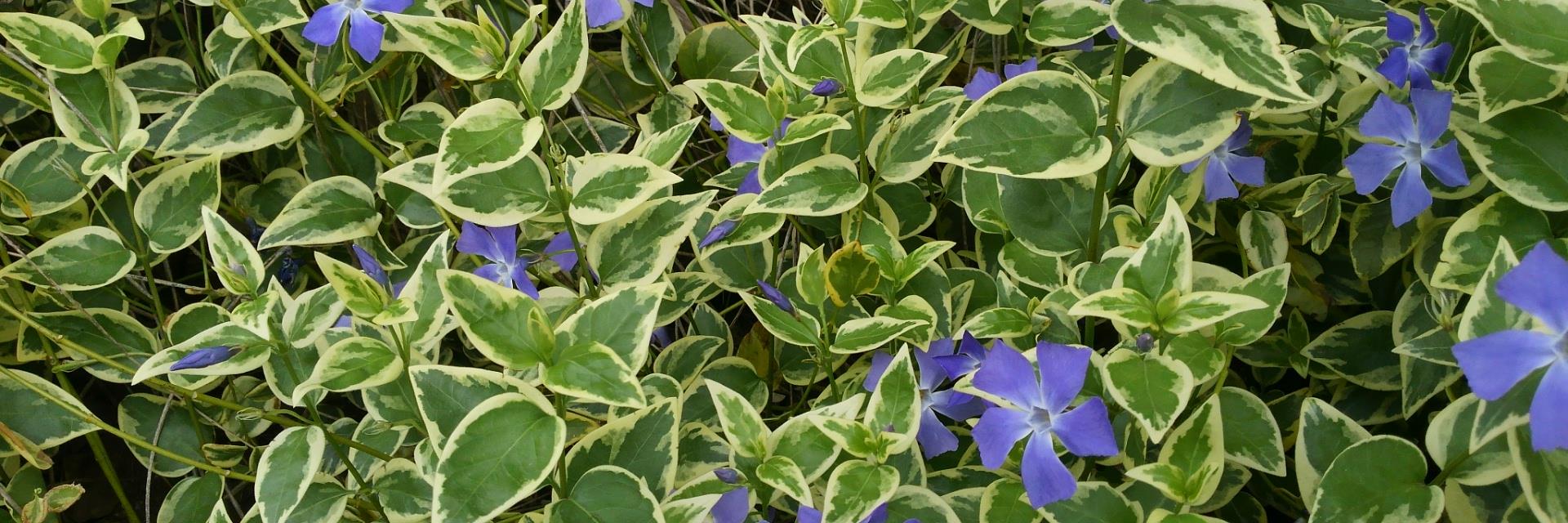 hiroちゃん (ひろiro) banner