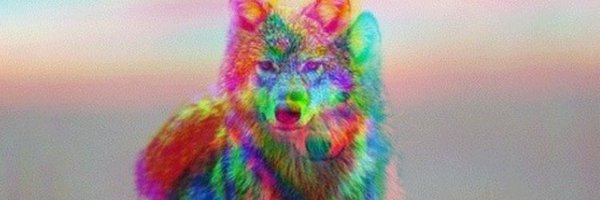 georgefitz15 Profile Banner