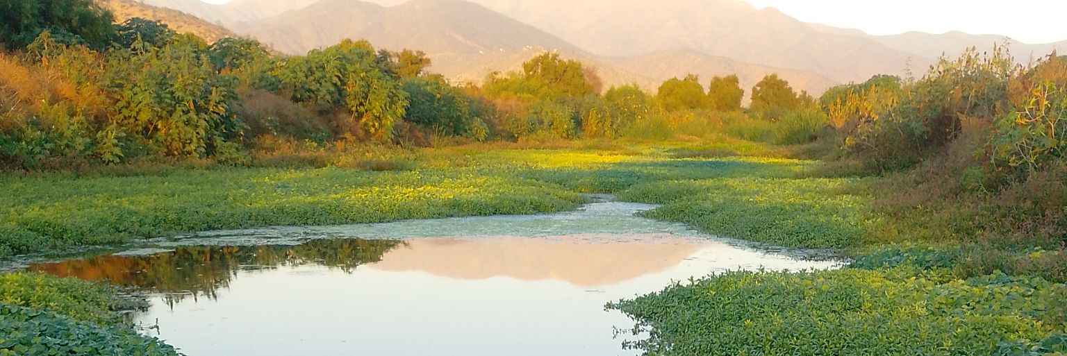 Barberis, Cristian banner