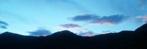 マミ🐦️ banner