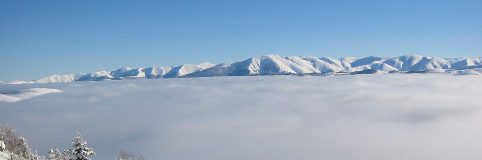 Patrice Duboé banner