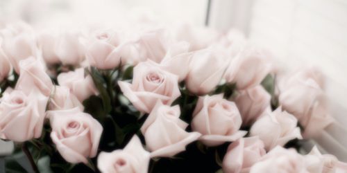 DelicateLiar's profile banner image