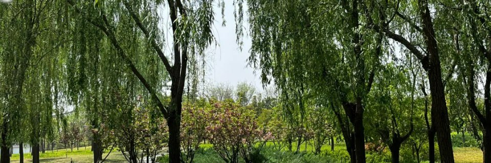 as2814904's profile banner image