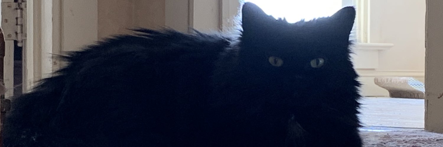 FalloutNewVirus's profile banner image