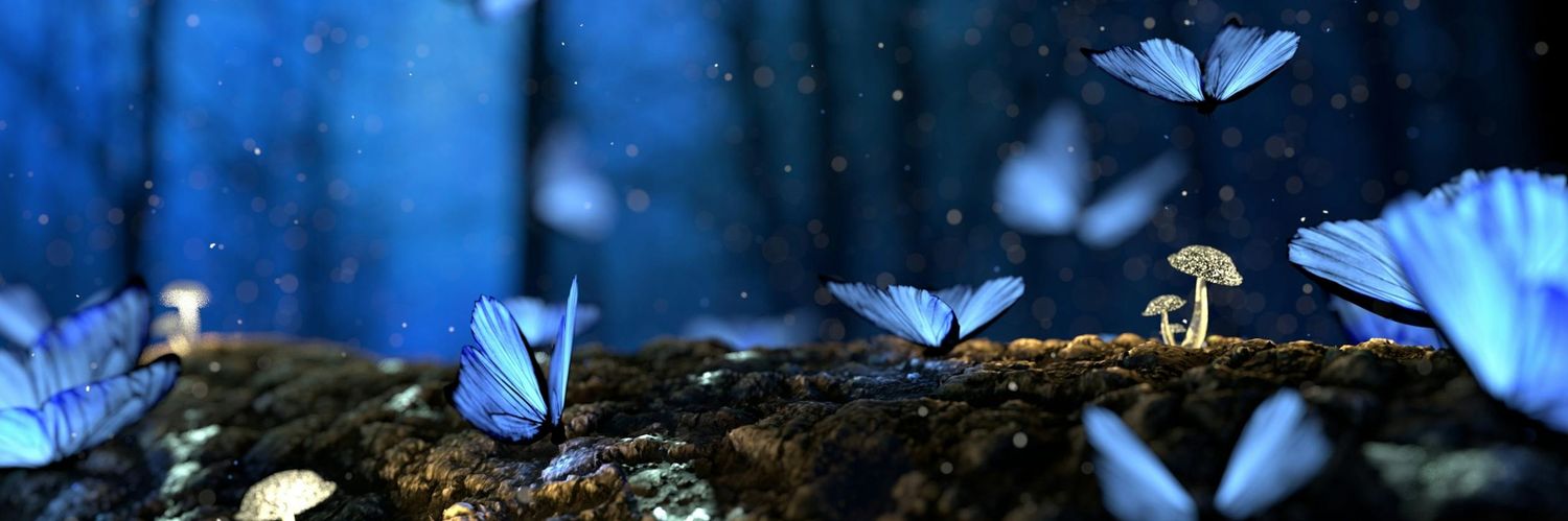 hania4232's profile banner image