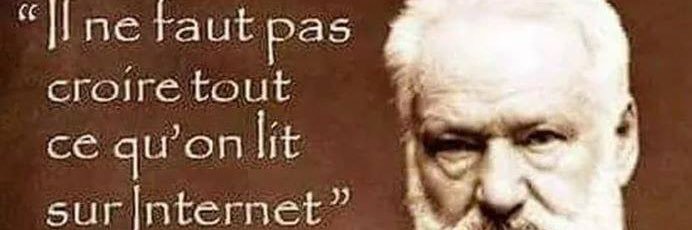 Monica M banner