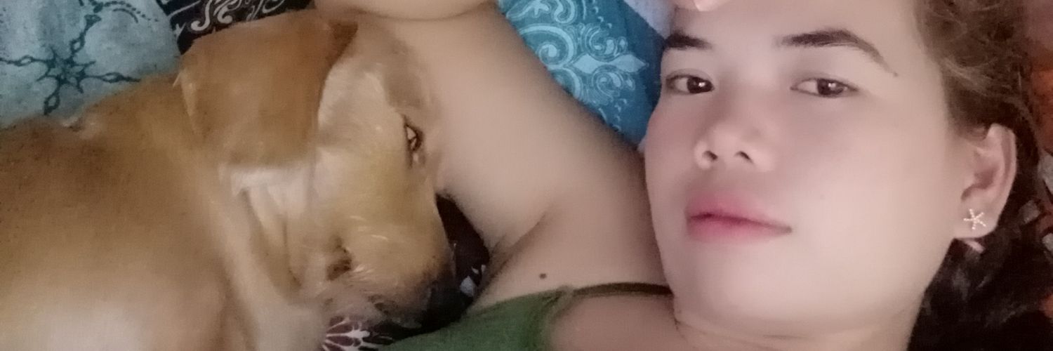 Rockos29's profile banner image
