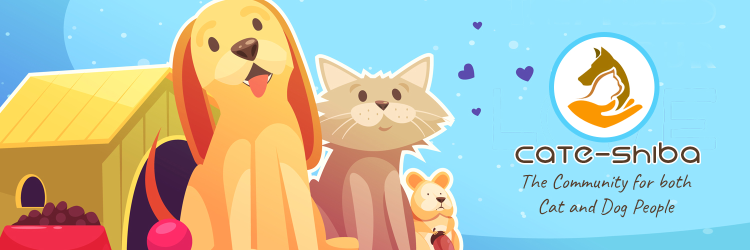CATESHIBA banner