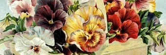 PatriceGattozzi's profile banner image
