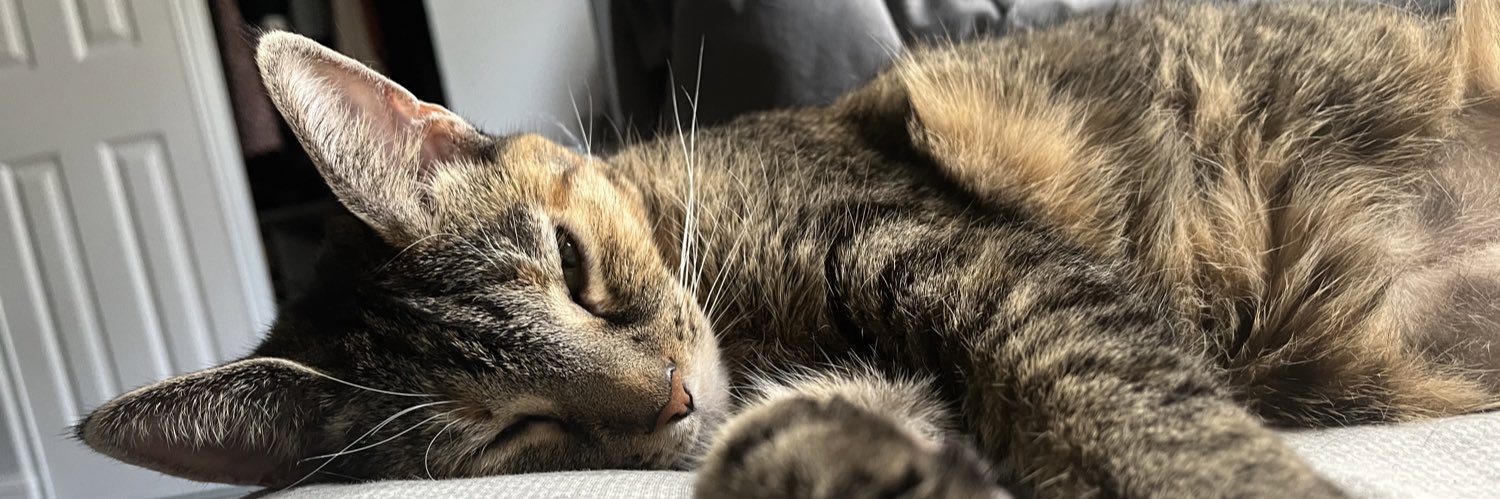 CandacePaige__'s profile banner image