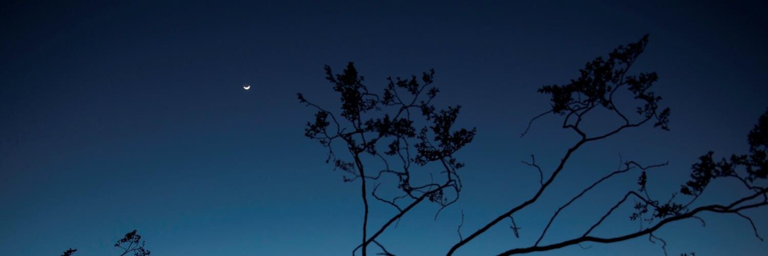 tavenier's profile banner image