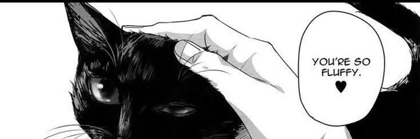 D banner