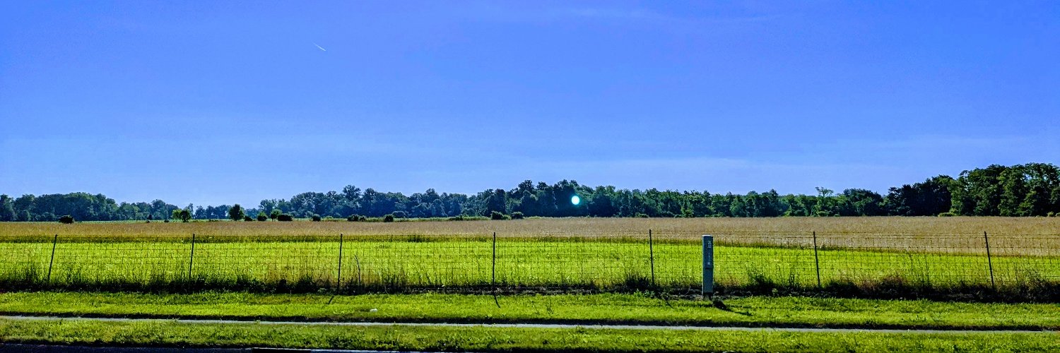 Doug McCollough banner