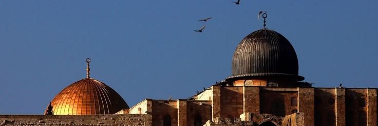 NecmiSahir's profile banner image