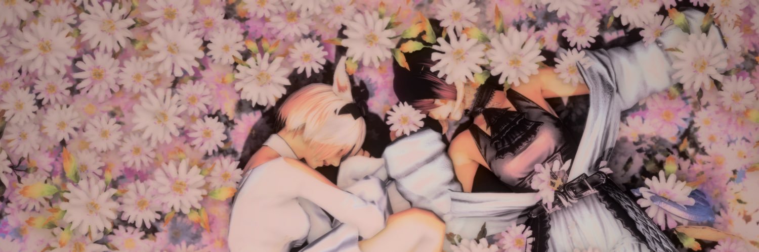 404notpop's profile banner image