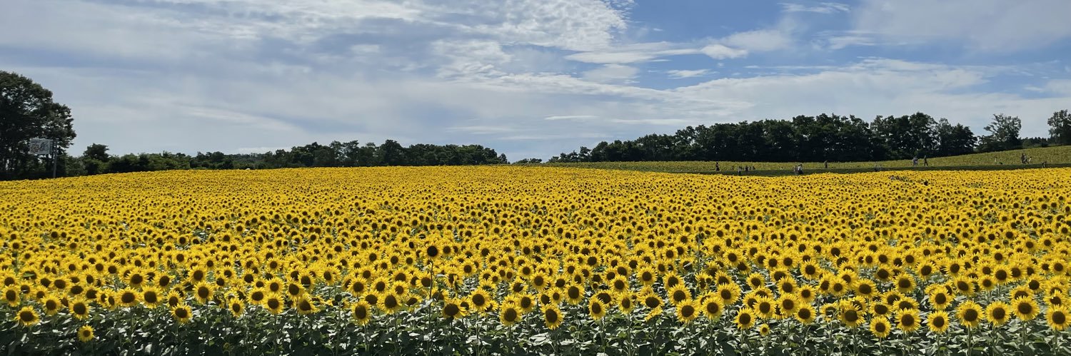toshio28's profile banner image