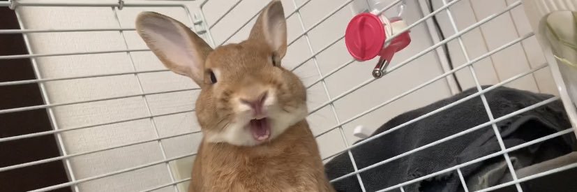 ゆかなんᙏ̤̫͚ banner