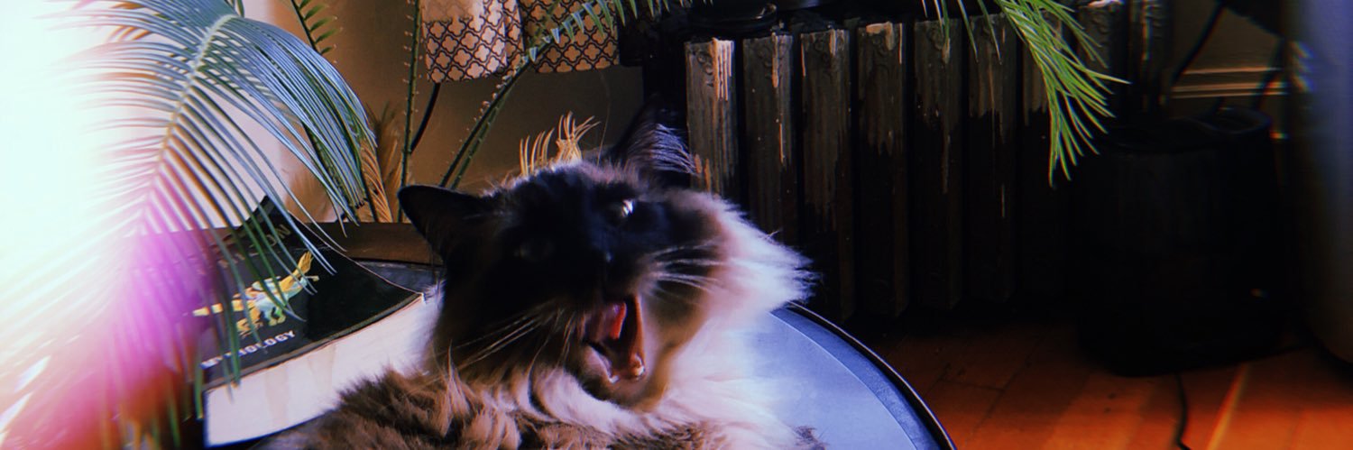 r0Iler's profile banner image