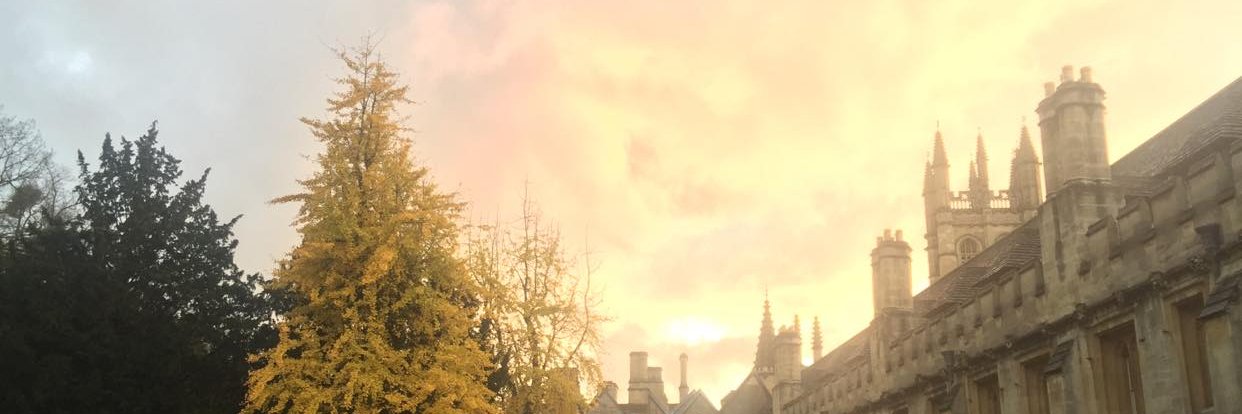 Dr Maria Violaris's banner