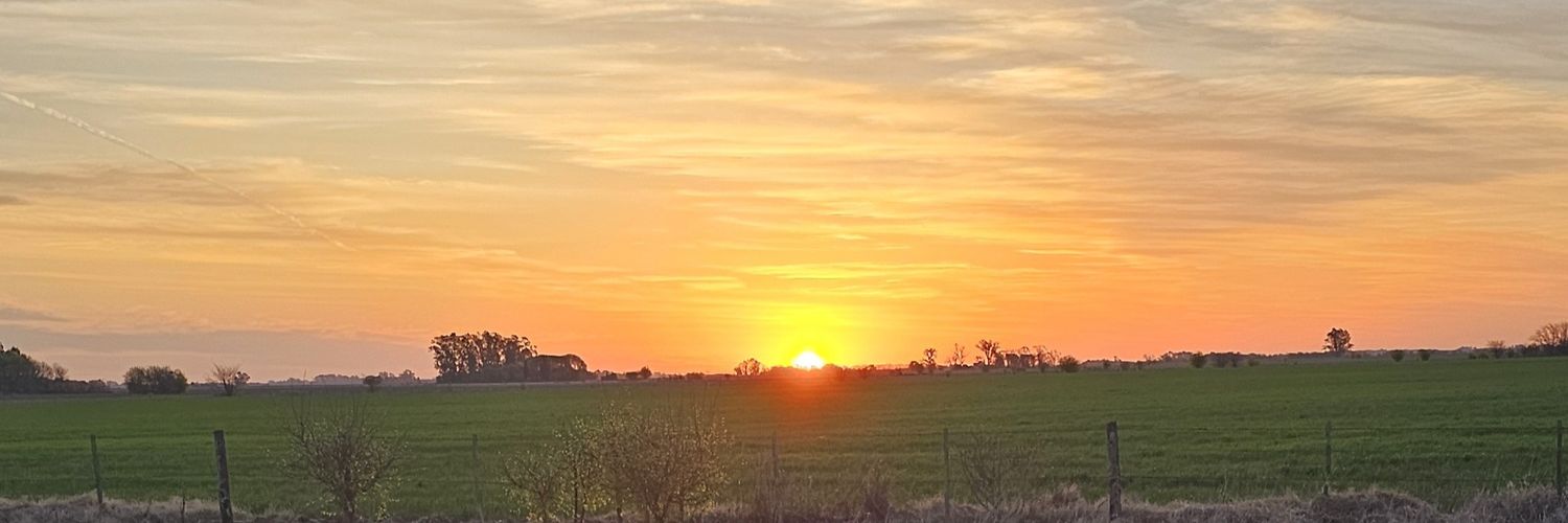 Daniel Pasquale banner