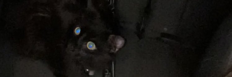 SuicidalCapsFan's profile banner image