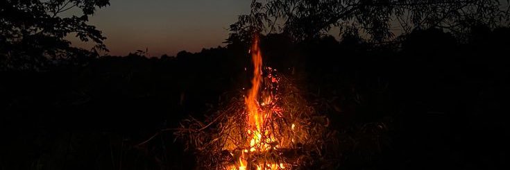 The Death Reader banner