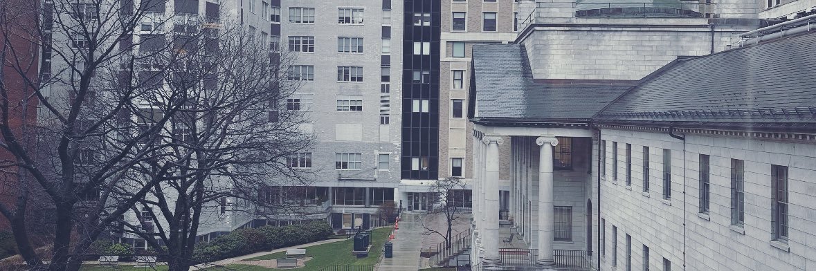 Hassan S Dashti banner