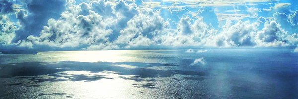 bobstertt Profile Banner