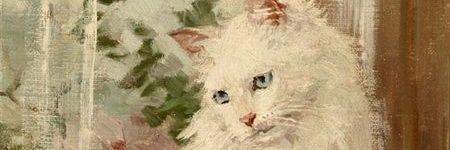 ⭑𓆤 𝐿 𝛪 𝛧 𓋅 banner