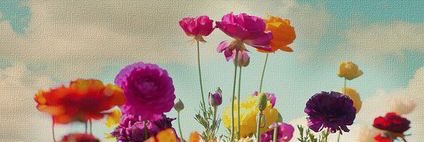 MandyJane18's profile banner image