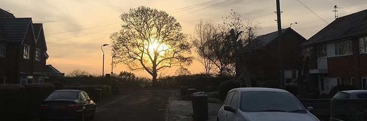ellsun's profile banner image