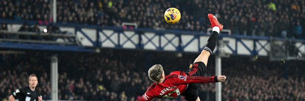 hermanopapi Profile Banner