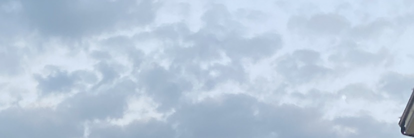 sheluvchia's profile banner image