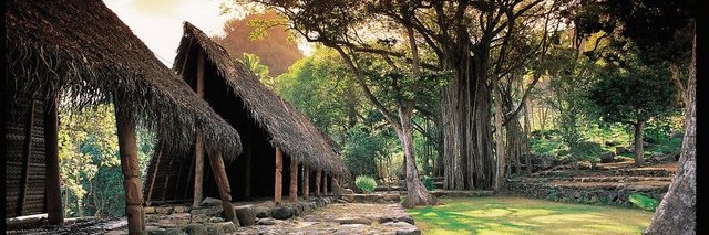 Communauté de Communes des Îles Marquises - CODIM banner