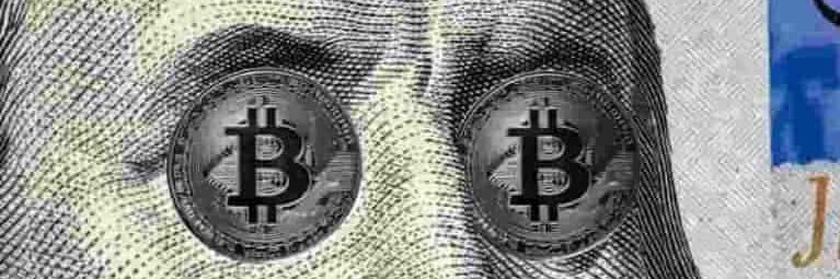 CryptoCritter5000 banner