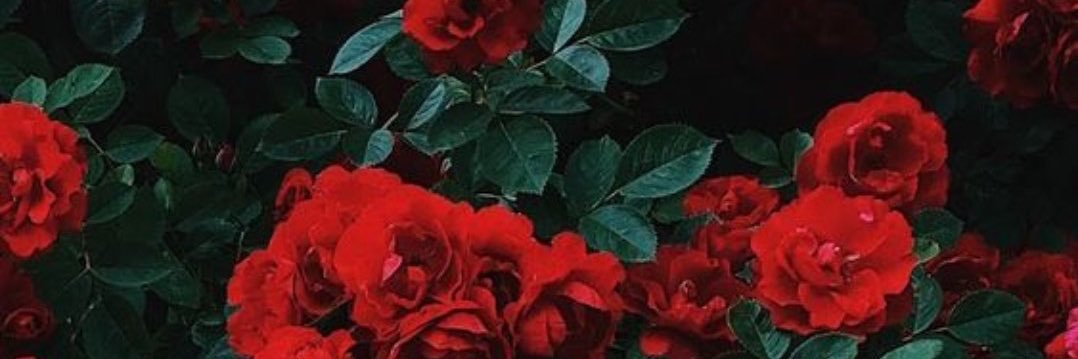 TorresMelinaa's profile banner image