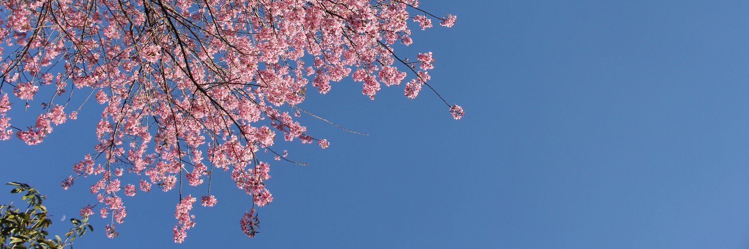 ChurchkritR's profile banner image