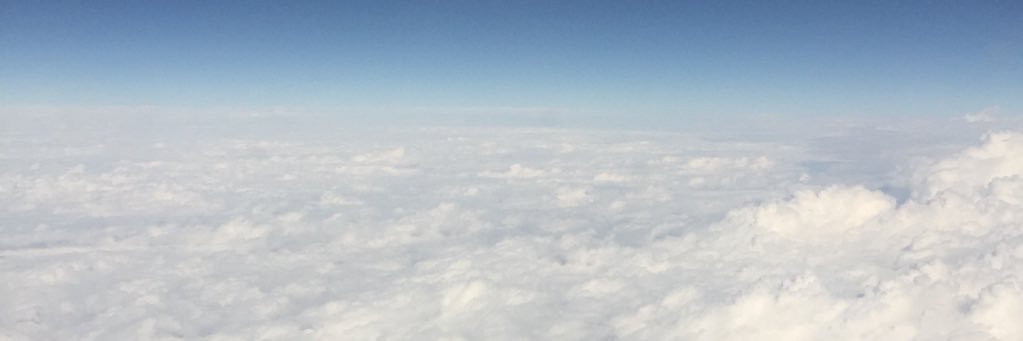 Bradyniparty's profile banner image