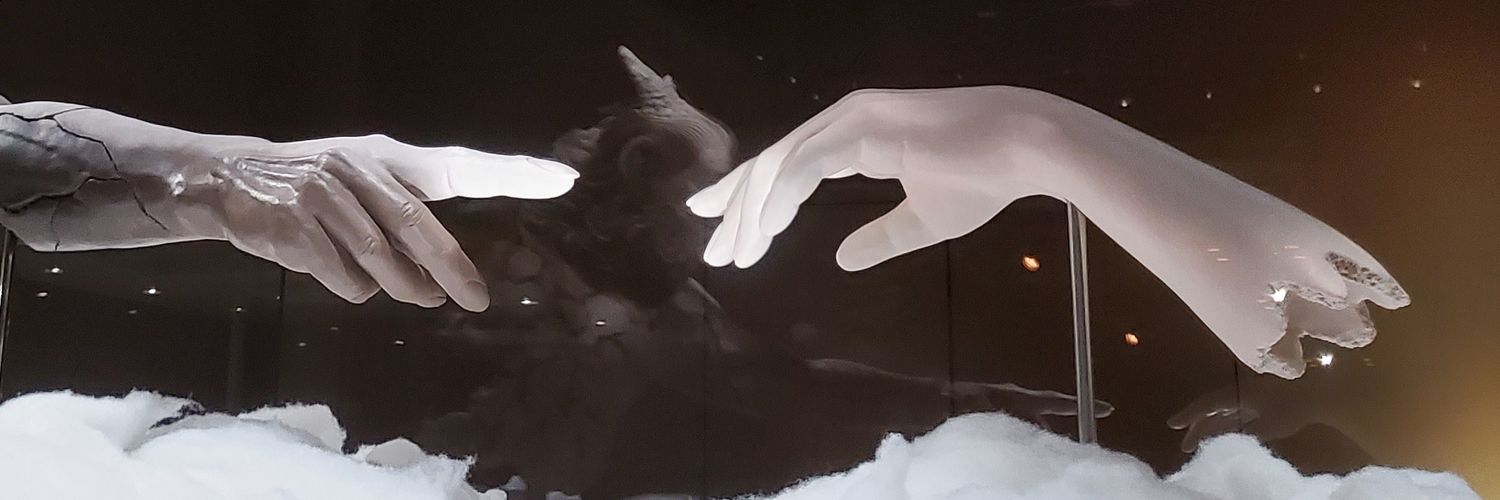carakolo's profile banner image