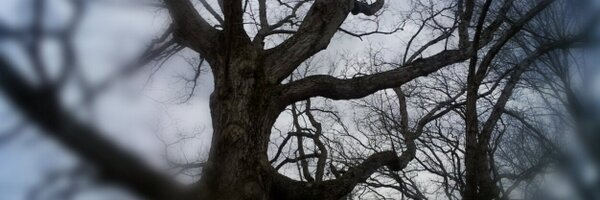 ecarterbailey Profile Banner