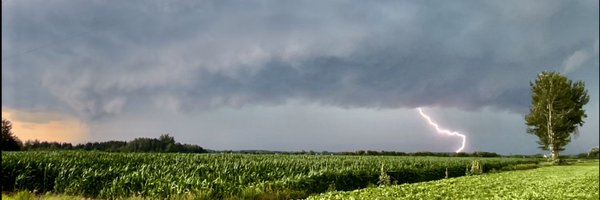 evan_finch Profile Banner