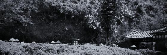IndahDwiS_'s profile banner image