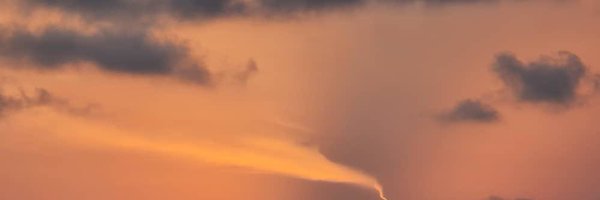 tihane___ Profile Banner