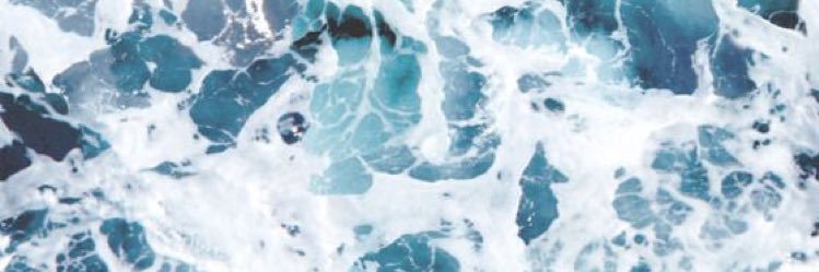 Jan banner