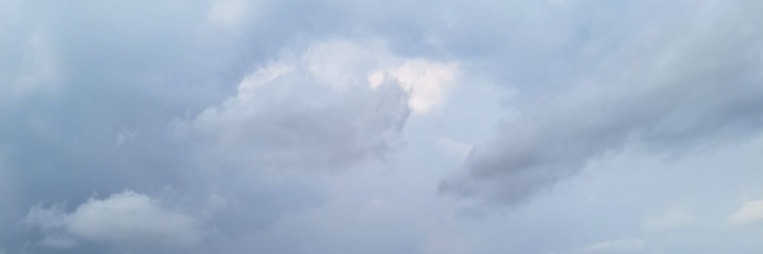 ju. banner