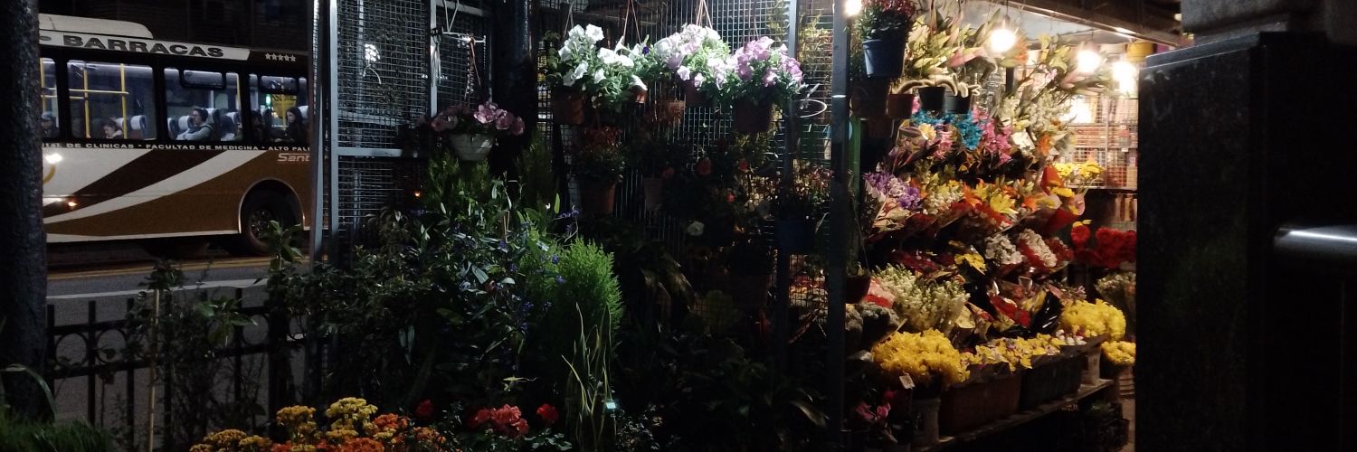 FlooMonzn's profile banner image
