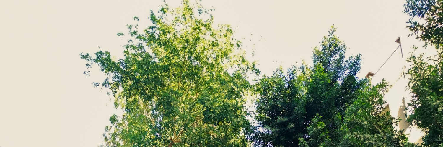 FatmaMoghazy2's profile banner image