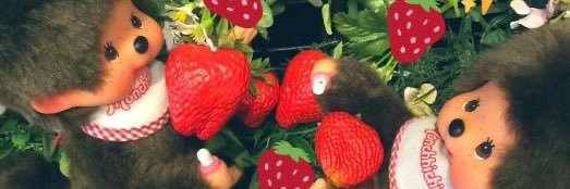 gee 🍀 🍊🍊🍊 banner