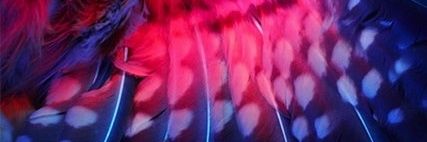 KittyKat banner