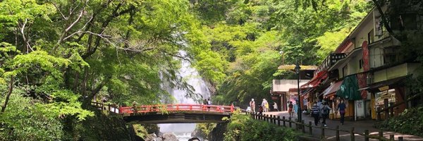 strayer_13 Profile Banner